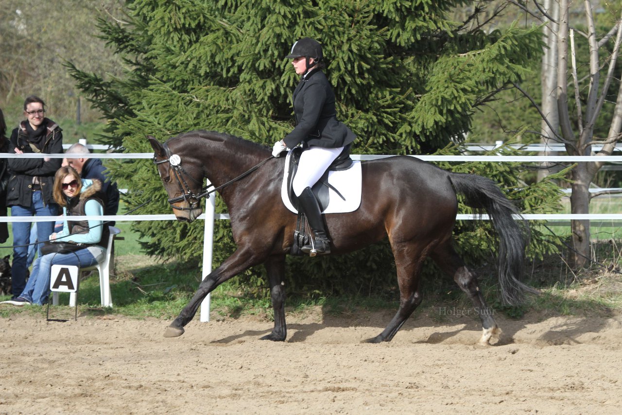 Bild 1170 - WBO-Turnier am 9.4.11